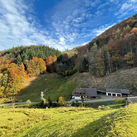 Bauernhaus Im Muenstertal Ngoại thất bức ảnh
