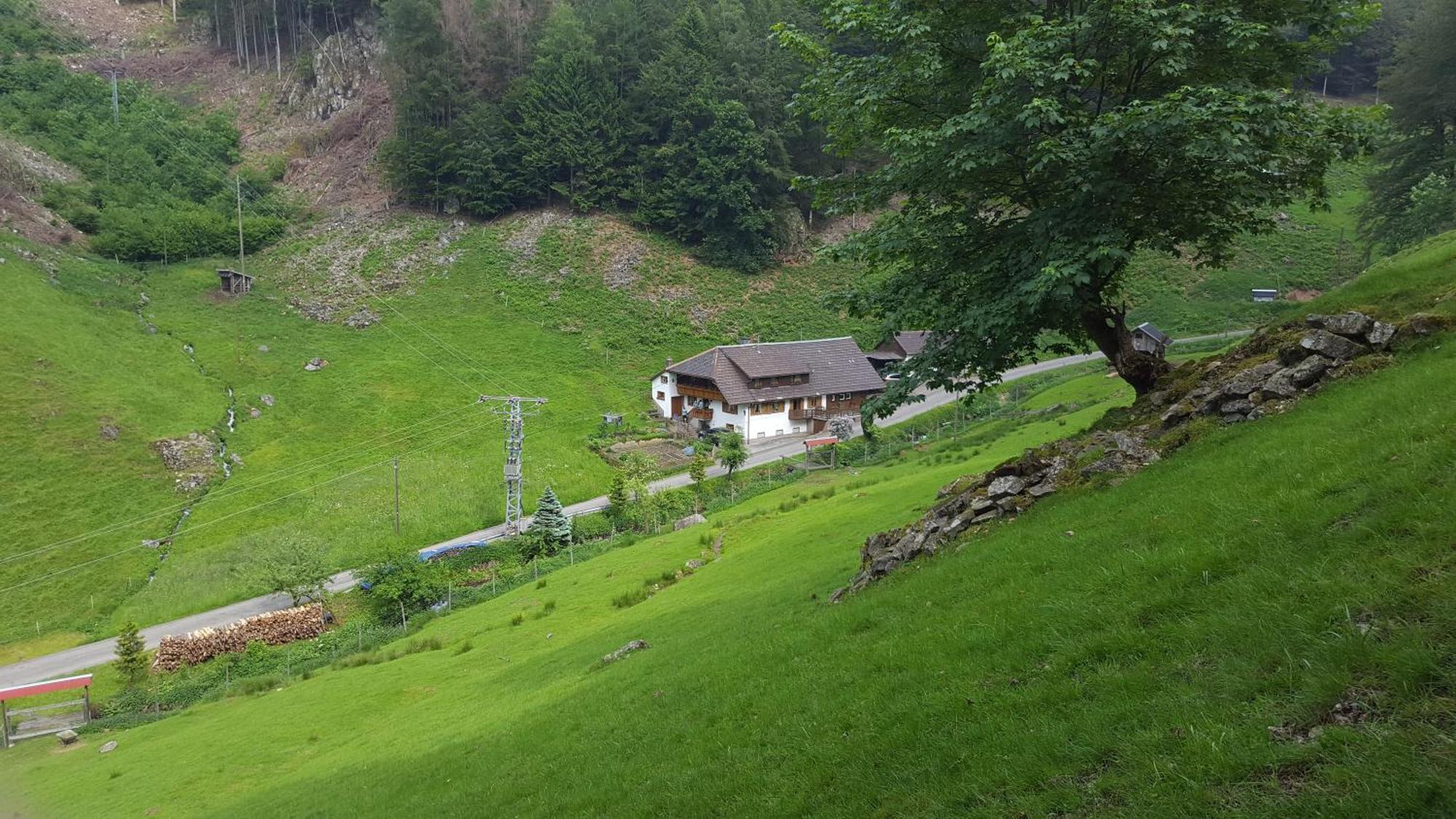 Bauernhaus Im Muenstertal Ngoại thất bức ảnh