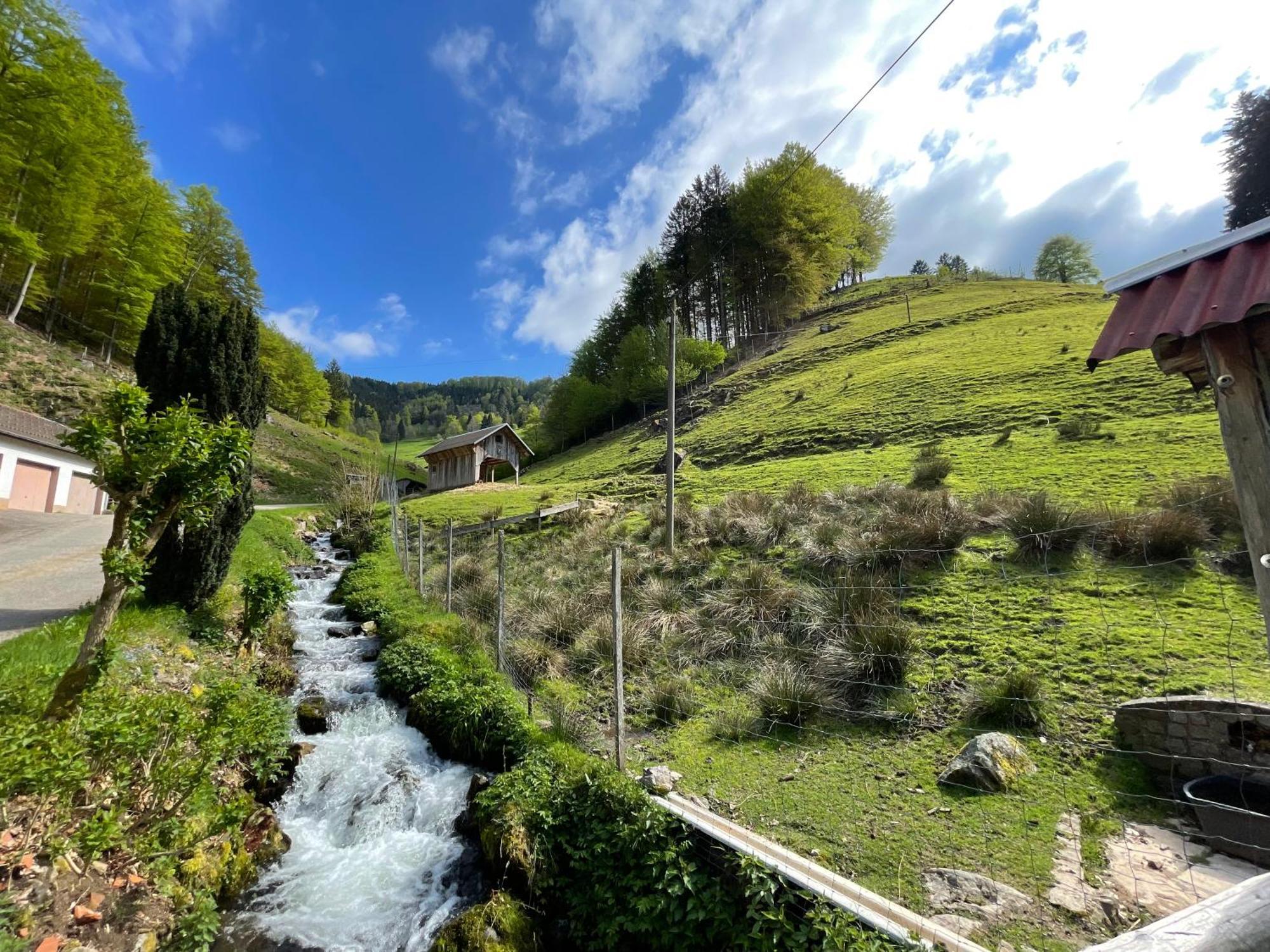 Bauernhaus Im Muenstertal Ngoại thất bức ảnh