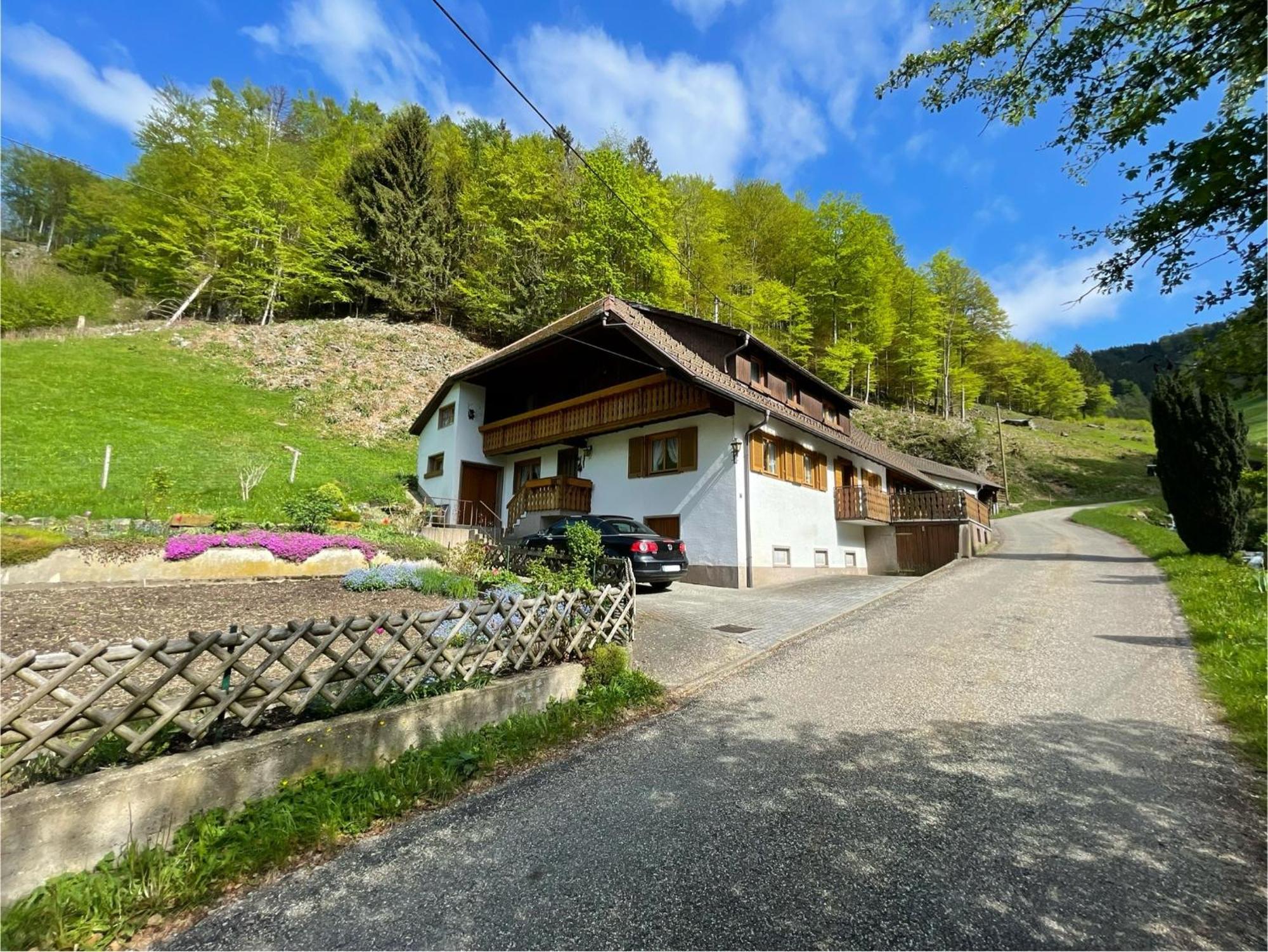 Bauernhaus Im Muenstertal Ngoại thất bức ảnh
