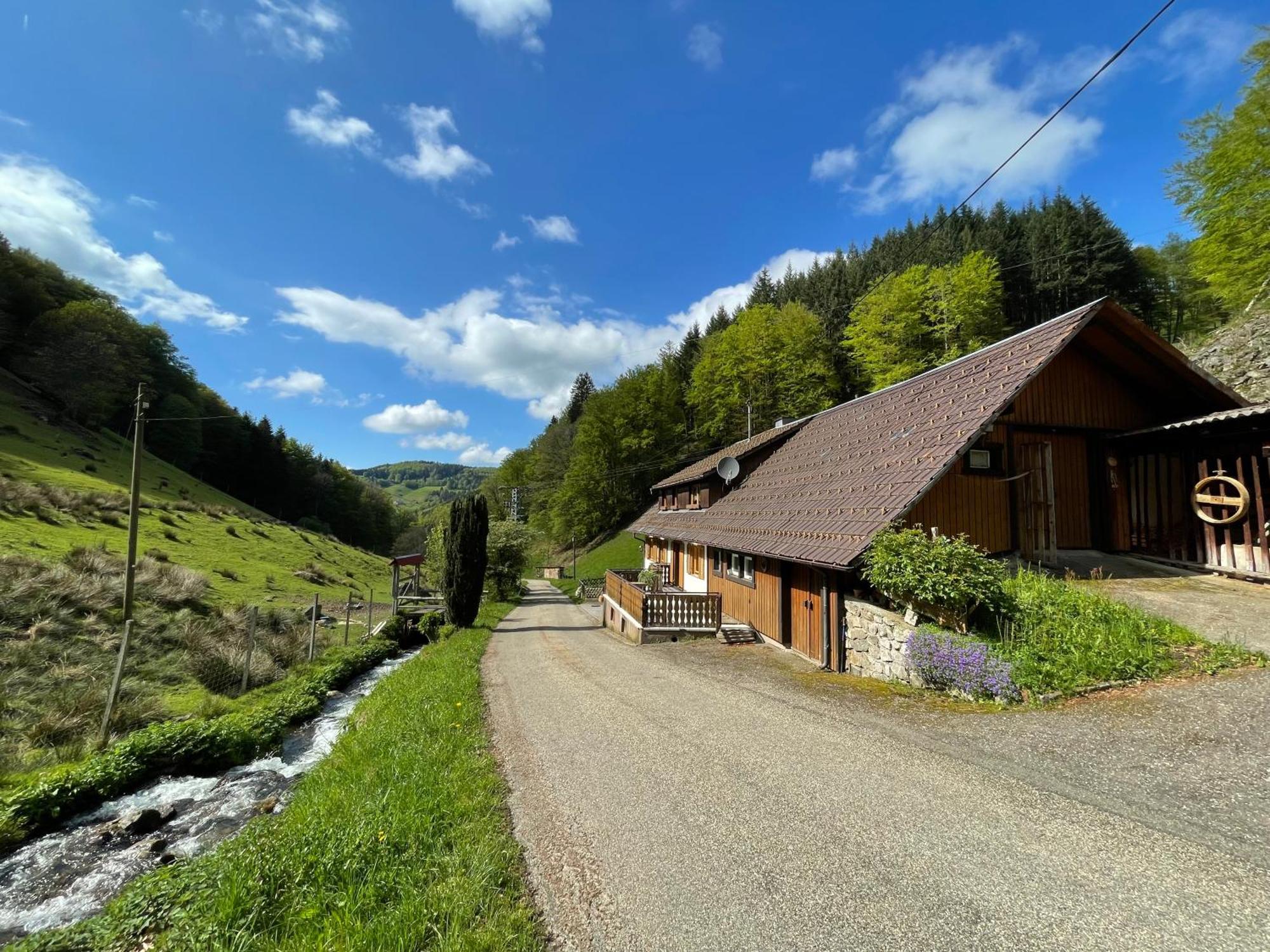 Bauernhaus Im Muenstertal Ngoại thất bức ảnh