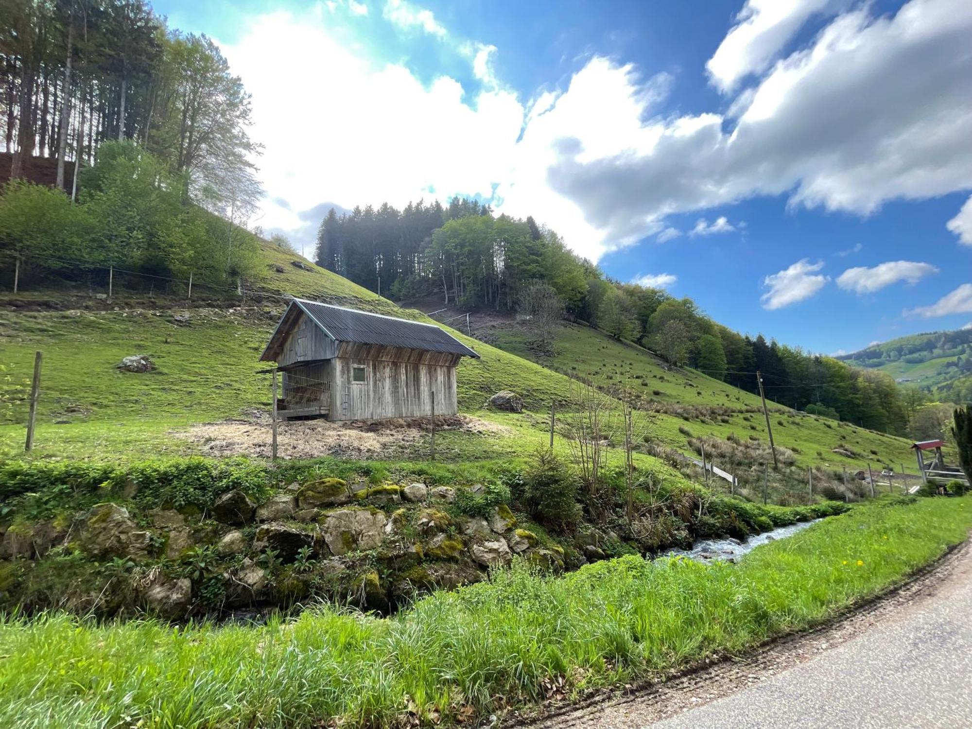 Bauernhaus Im Muenstertal Ngoại thất bức ảnh