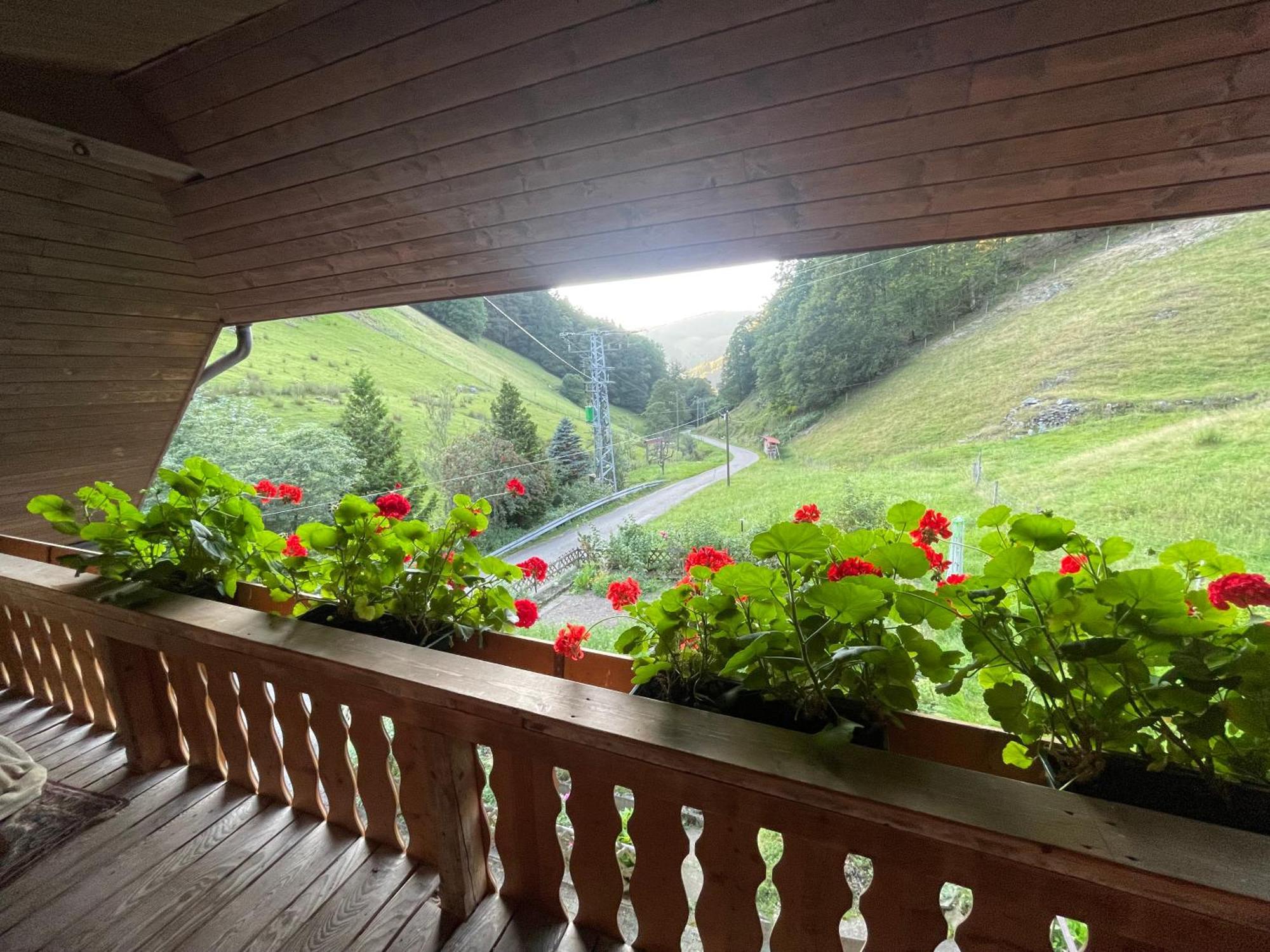 Bauernhaus Im Muenstertal Ngoại thất bức ảnh