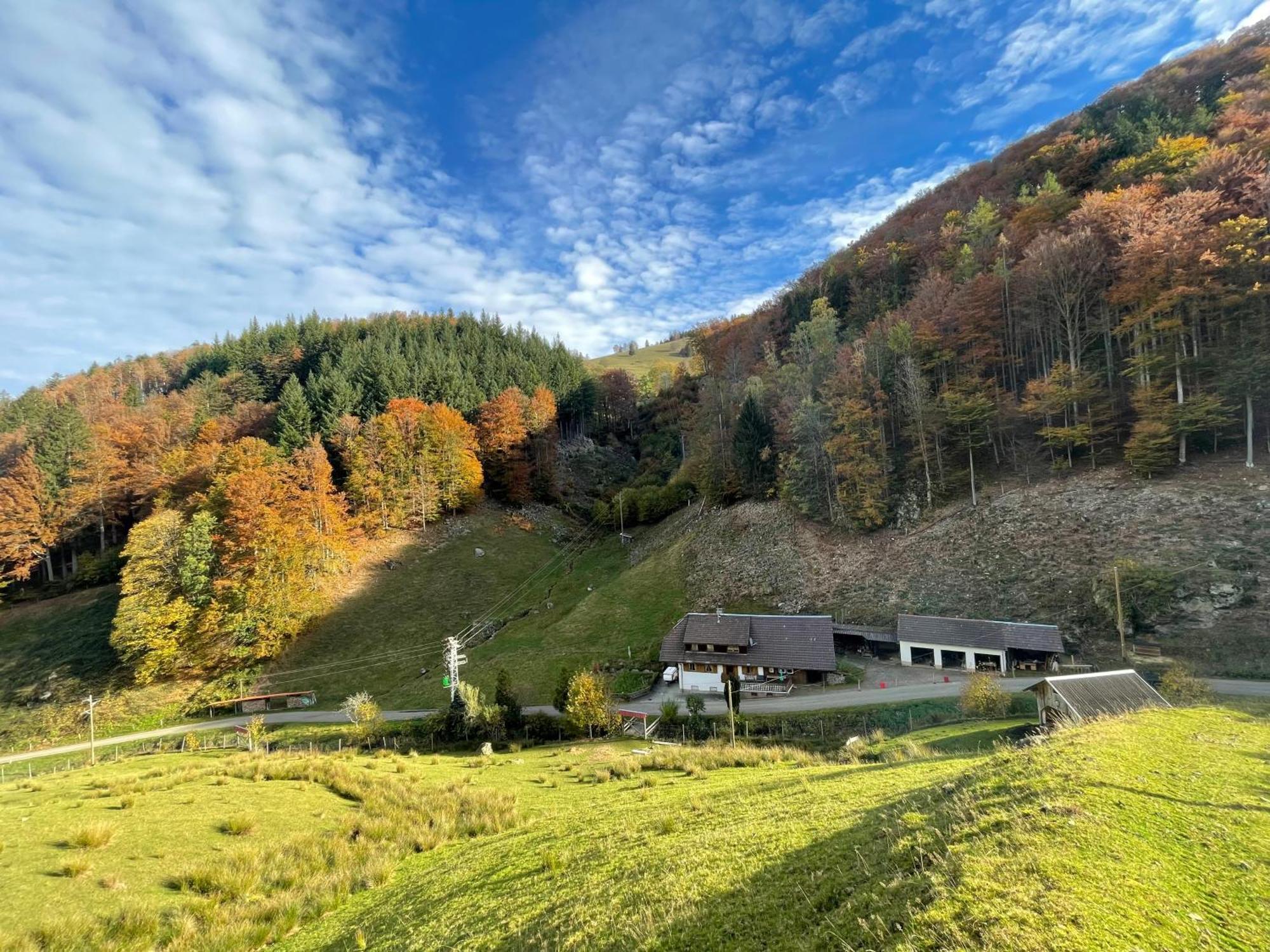 Bauernhaus Im Muenstertal Ngoại thất bức ảnh
